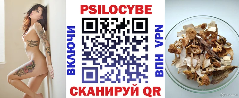 Купить где  Трубчевск  Псилоцибиновые грибы мицелий 